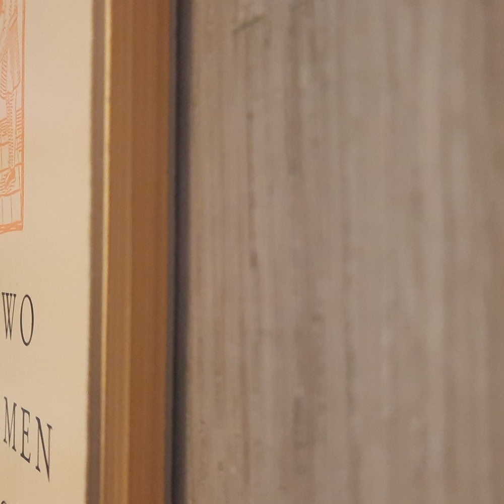 Secret Journal "The two gentlemen of Verona" - Picture 5 of 5